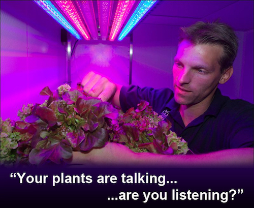 Thomas Frey Futurist Speaker tapping into the secret language of plants