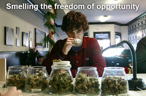 thomas-frey-futurist-speaker Entering the legal marijuana era finding the pitfalls and profits in the years ahead