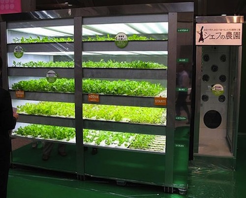 Thomas Frey Futurist Speaker Lettuce and fresh produce vending machine in Japan