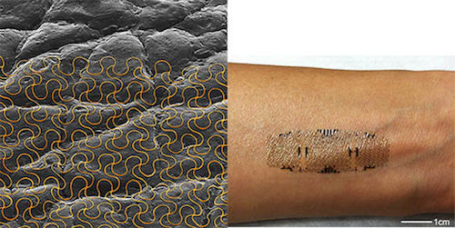 Thomas Frey Futurist Speaker Printable sensors on the skin