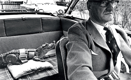 Thomas Frey Futurist Speaker The safer we feel, the more risks we take