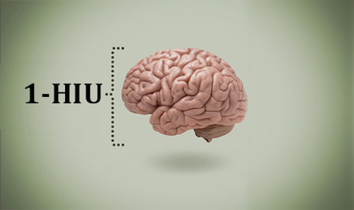 our newest unit of measure 1 human intelligence unit